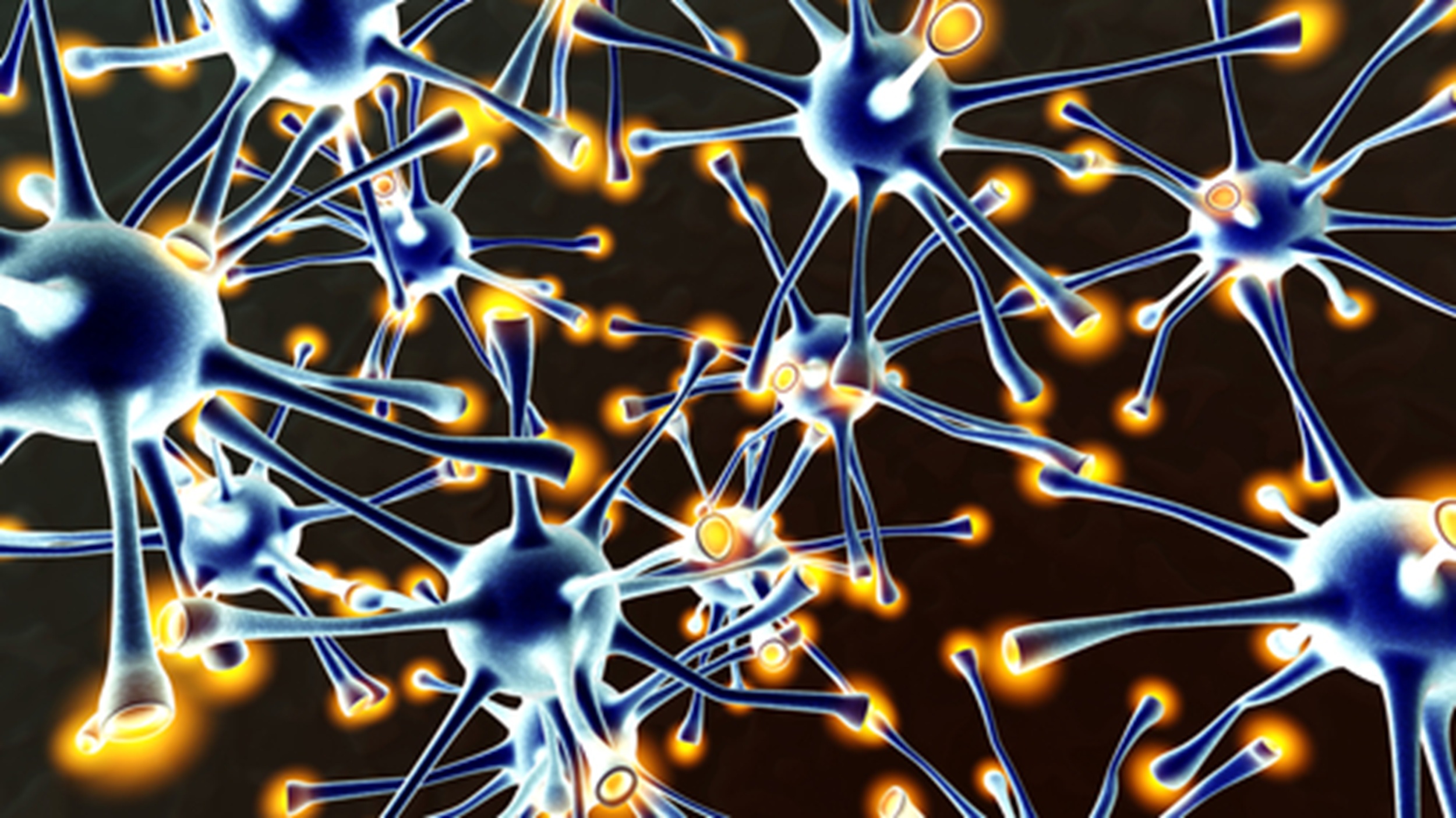 Neuronal Network
